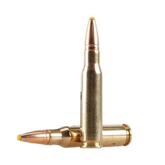 308w.jpg