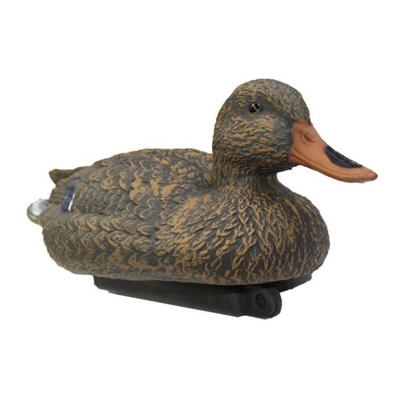 forma-caca-pato-real-femea.jpg