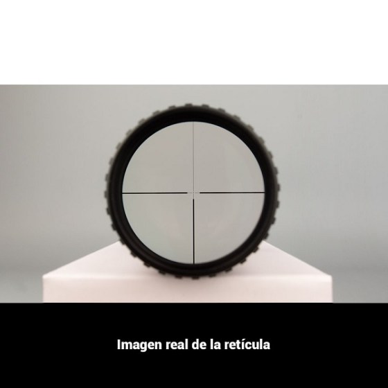 10398