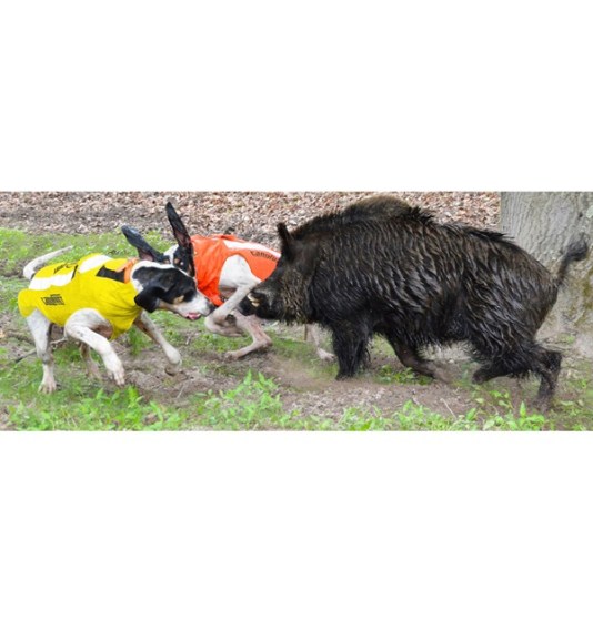 4563