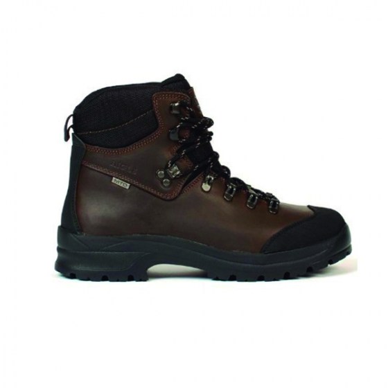 aigle1