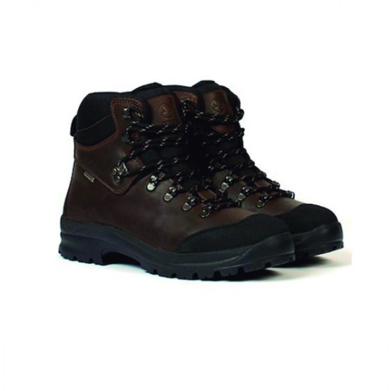 aigle2