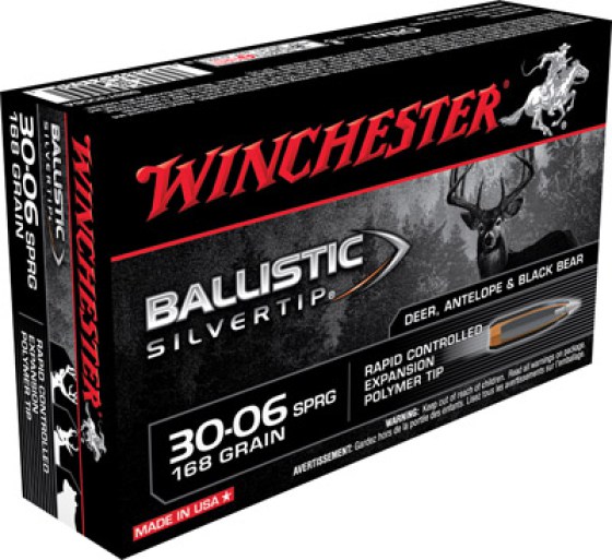 balisticsilvertip3006