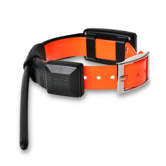 localizador-gps-dogtrace-x20-(7)